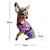 Statue Chien Moderne - Graffiti Nordique sur Chihuahua & Bouledogue