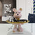 Statue d'Ours en Résine avec Plateau de Rangement - Sculpture Artisanale pour Clés, Collations et Décoration de Table.