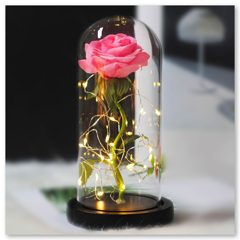Romance Éternelle Veilleuse
